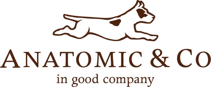 Anatomic & Co