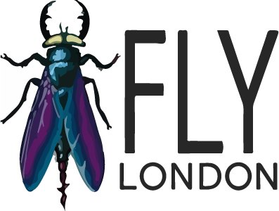 Fly London