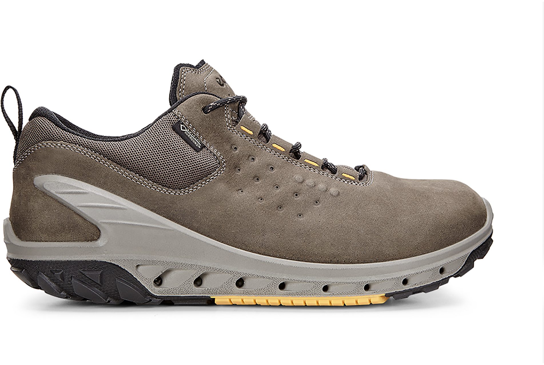 ecco biom gore tex surround