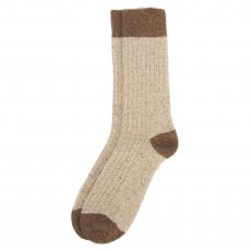 Houghton Sock