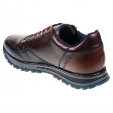 AG805 Philip
