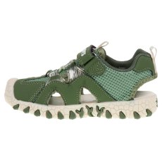 Spinosaur Sandal