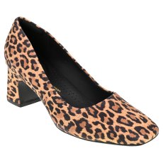 Fernie Court Fernie Court