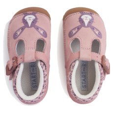 Little Paws Little Paws