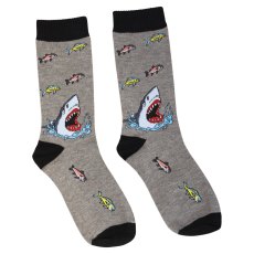 Snappy Sharks Socks