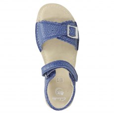 Ivy Blossom Junior