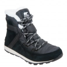 Whitney Flurry Whitney Flurry