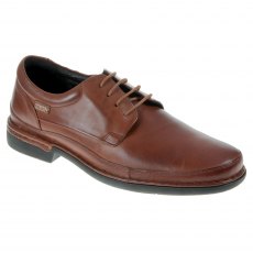 Oviedo Lace