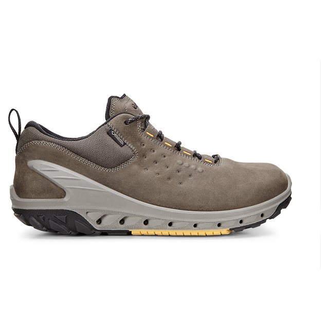 Ecco Biom Venture Gore-Tex Mens Tarmac / Tarmac 820724 55894 - Outdoor ...