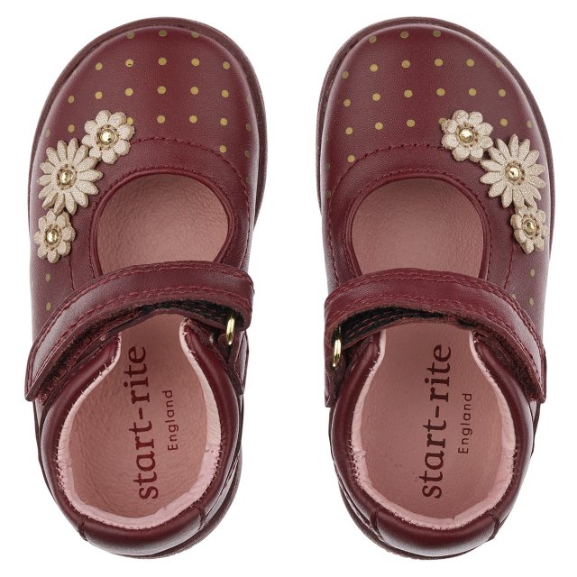Start Rite Super Soft Daisy Wine Leather 0396 7 First Walkers Humphries Shoes