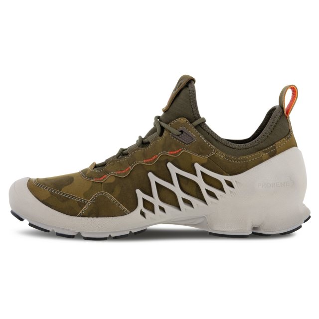 Ecco phorene best sale
