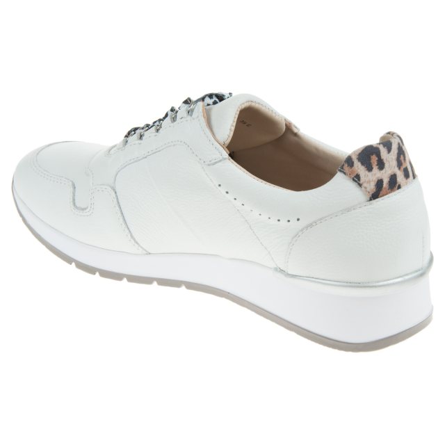 Van on sale dal trainers