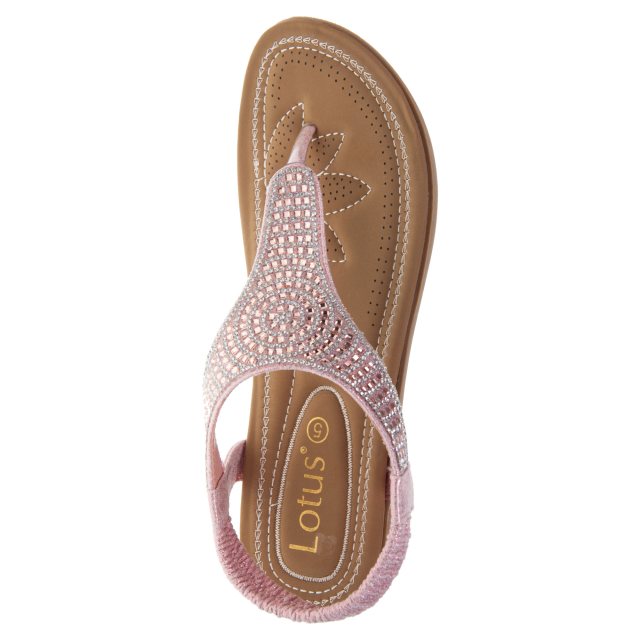 Lotus Aura Pink ULP279 KK Toe Post Sandals Humphries Shoes