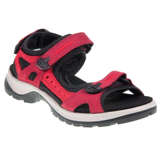 Ecco Offroad 63