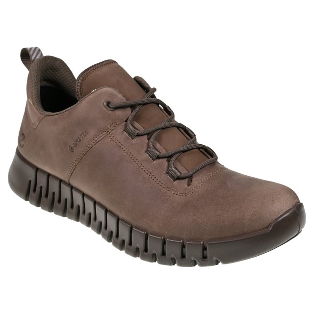 Ecco Gruuv M Sneaker Gore-Tex