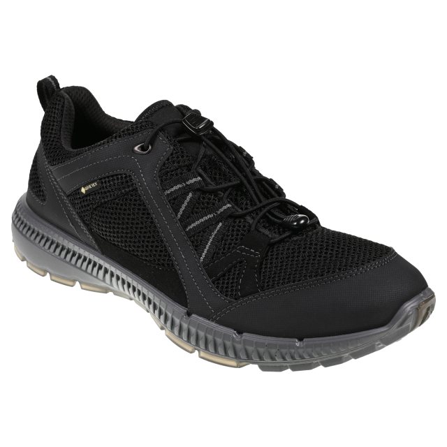 Ecco Terracruise II Gore-Tex