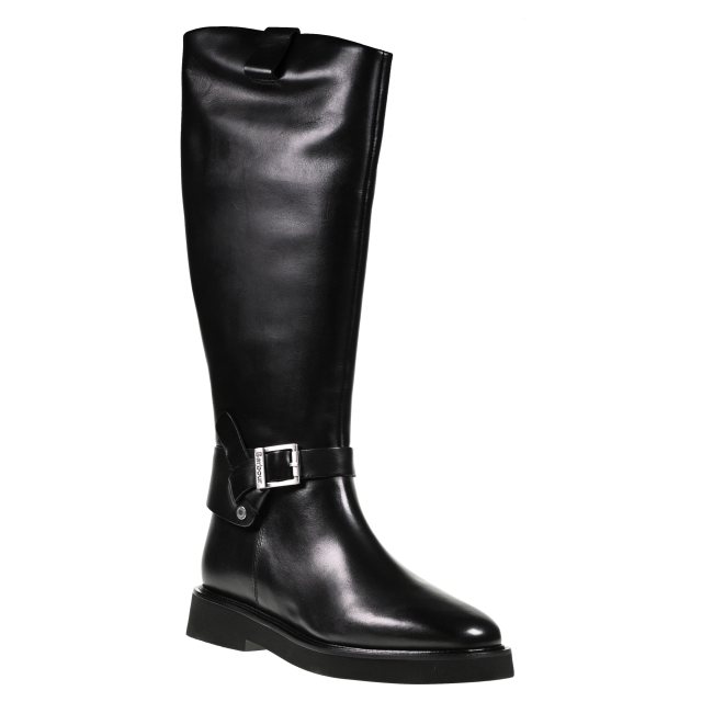 Barbour Theodora