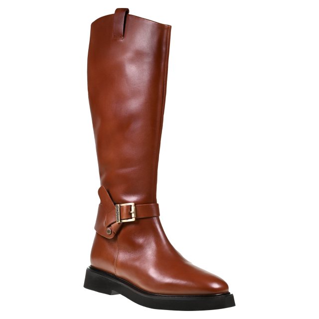 Barbour Theodora