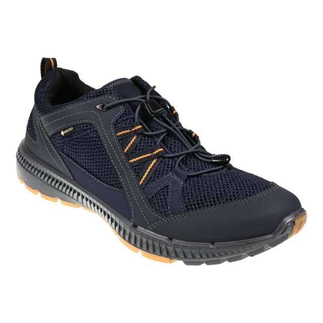 Ecco Terracruise II Gore-Tex