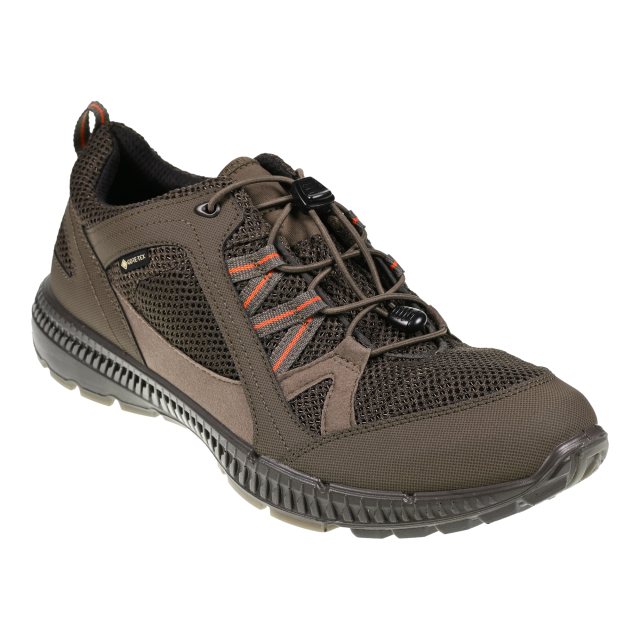 Ecco Terracruise II Gore-Tex