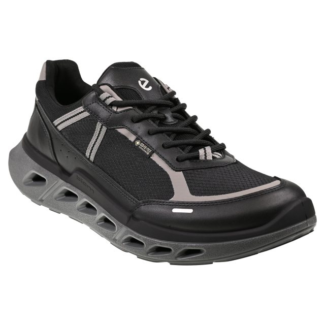 Ecco Biom 720 M Gore-Tex