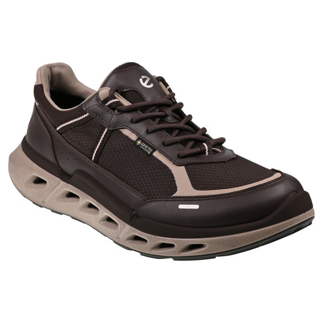 Ecco Biom 720 M Gore-Tex