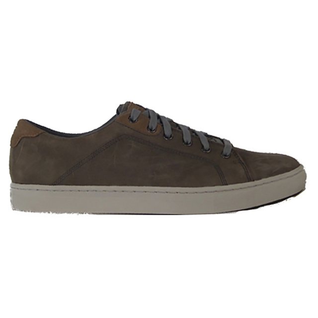 Skechers Elvino - Meris 64960 CHAR Casual Shoes - Humphries Shoes