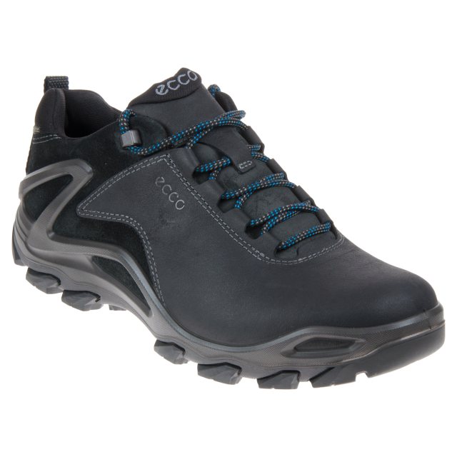 Ecco Terra Evo Gore-Tex