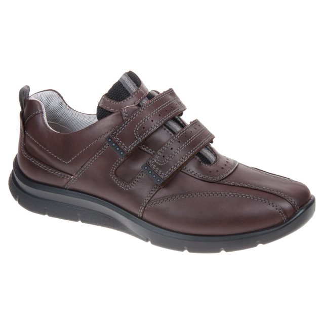 Hotter Energise Dark Brown ENRGS2 - Casual Shoes - Humphries Shoes