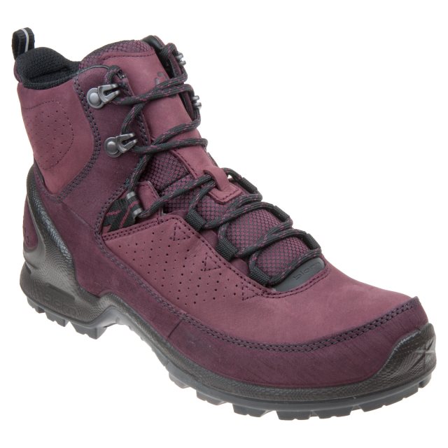 ecco biom terrain gtx low