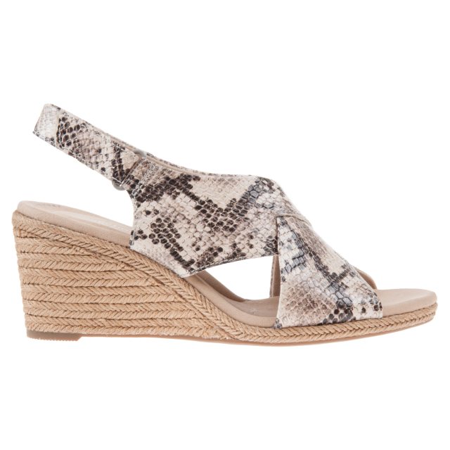 Lafley shop alaine clarks