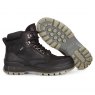 Ecco Track 25 Gore-Tex Hi