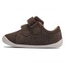 Clarks Roamer Bear Toddler