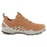 Ecco Biom Aex Ladies Hydromax