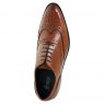 Catesby 21969