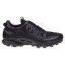 Ecco Biom C-Trail Gore-Tex