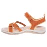 Free Spirit Dillion