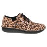 Clarks Funny Dream