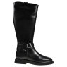 Barbour Theodora