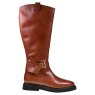 Barbour Theodora