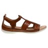 Ecco Flash W Roman