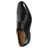 Anatomic & Co Elias