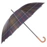 Walker Umbrella