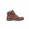 Ecco Track 25 Gore-Tex Hi