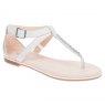 Clarks Bay Poppy