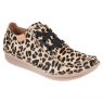 Clarks Funny Dream
