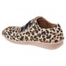 Clarks Funny Dream