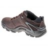 Ecco Terra Evo Gore-Tex