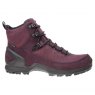 Ecco Biom Terrain Waterproof